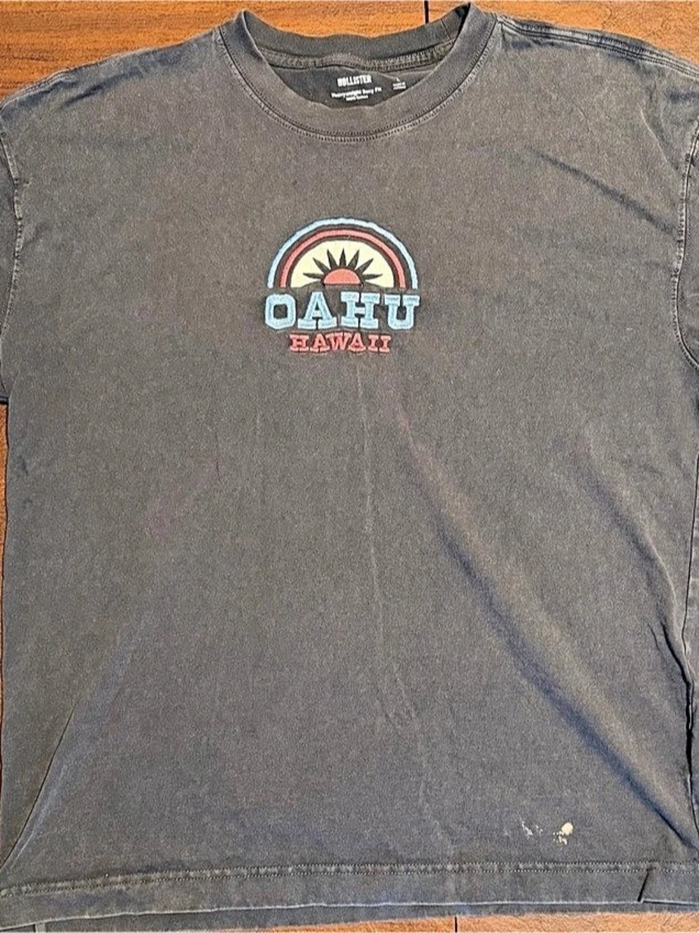 Hollister Heavyweight Boxy Fit Oahu Hawaii Graphic Tee Gray